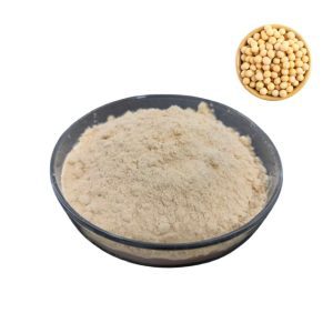 Soy Lecithin Powder