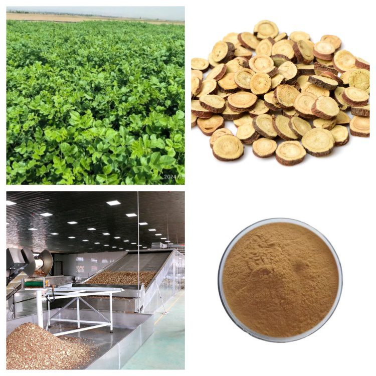 甘草提取物拼图